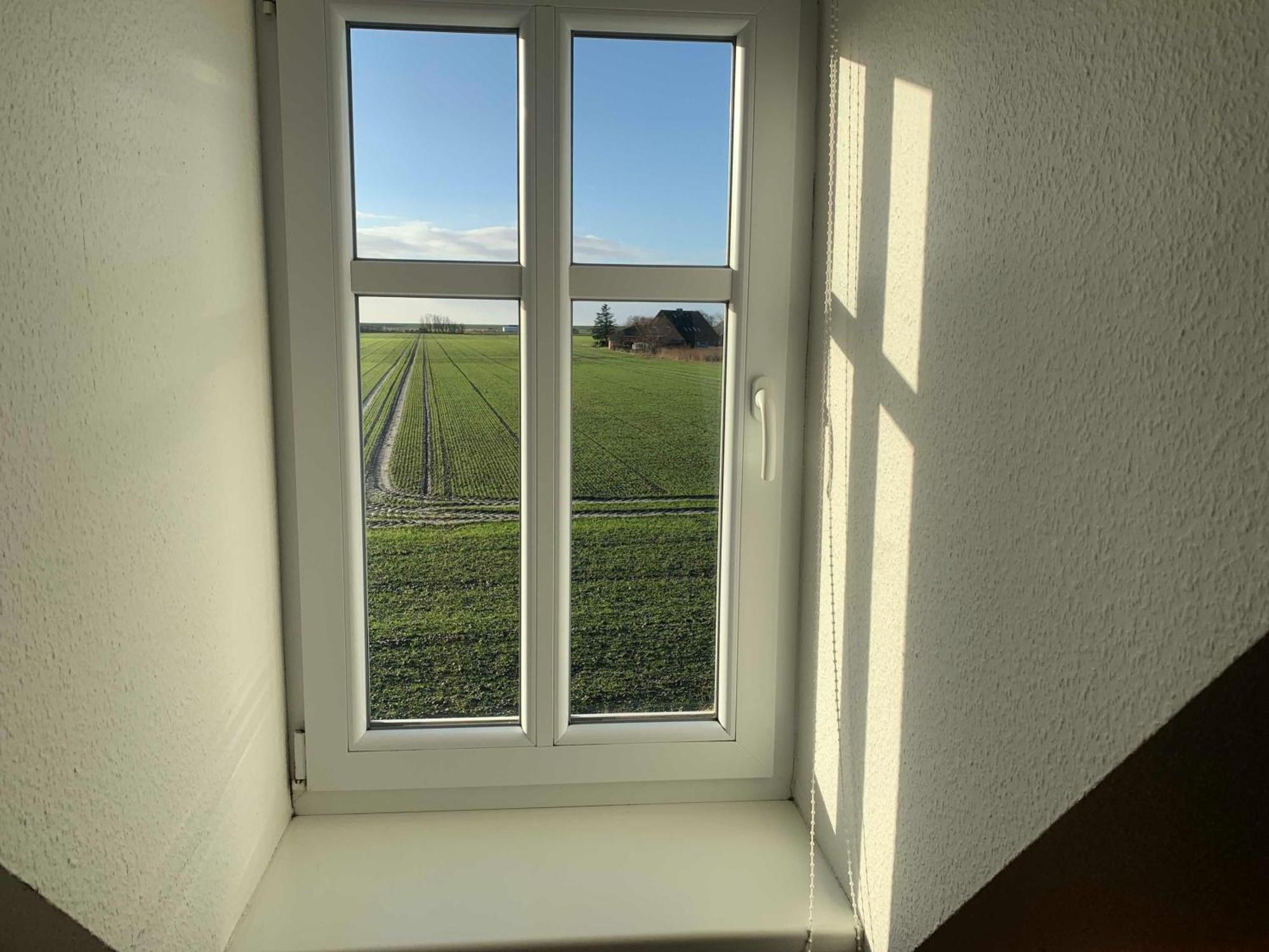 Haus Im Halligweg 20 Nordstrand Extérieur photo